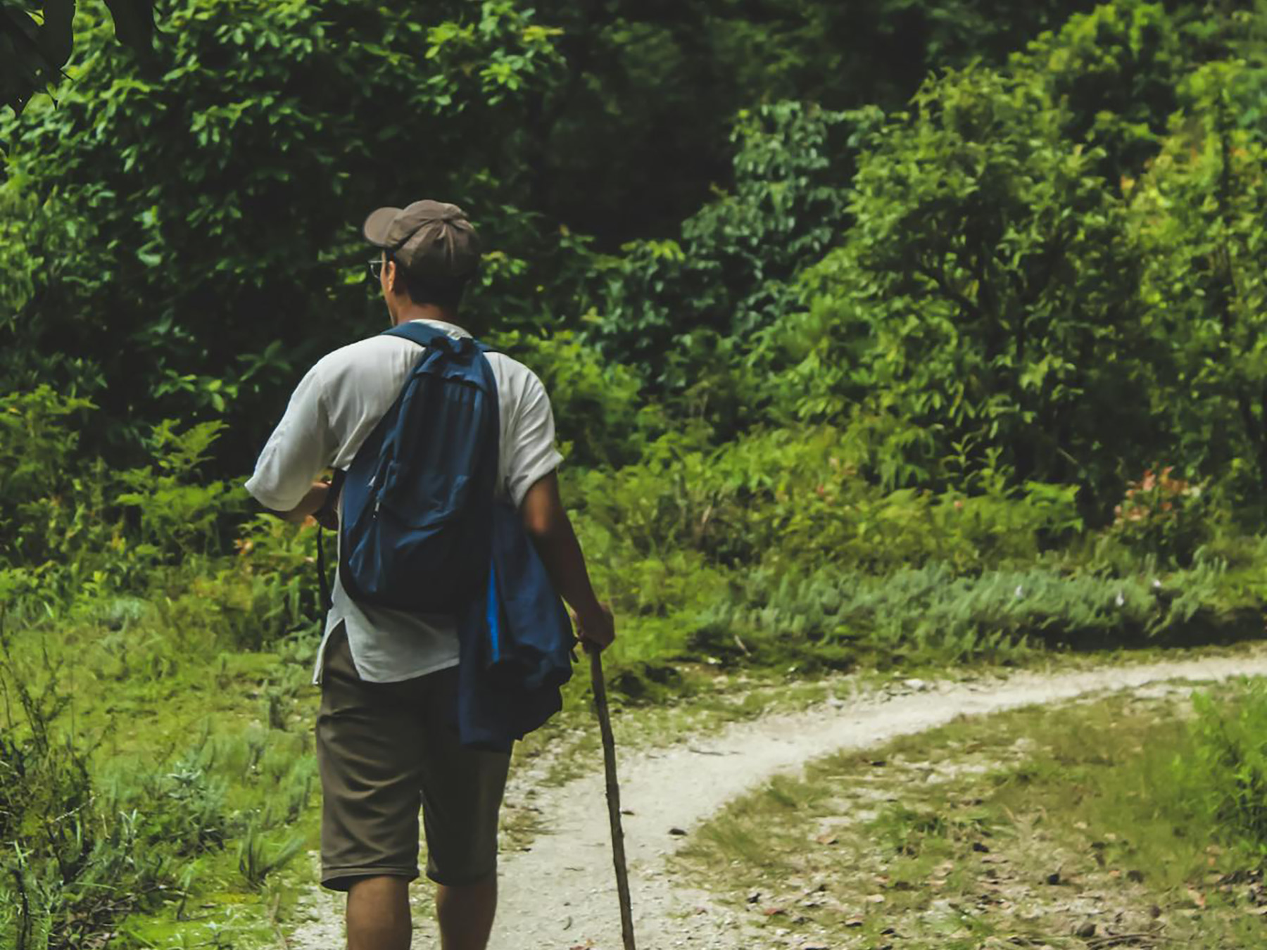 trekking in Oliveto Lario